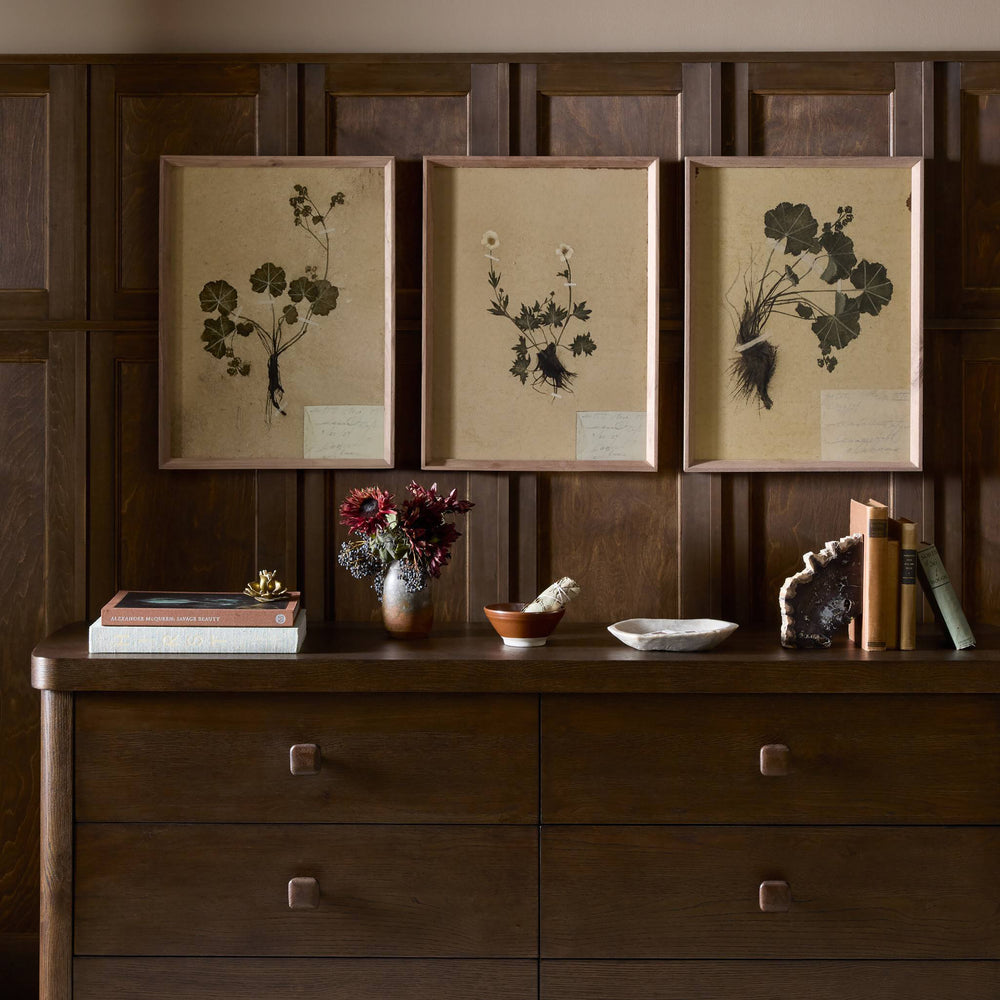 Amber Lewis x Four Hands Petite Study Triptych by Hannah Winters Wall Art Set