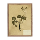 Amber Lewis x Four Hands Petite Study Triptych by Hannah Winters Wall Art Set