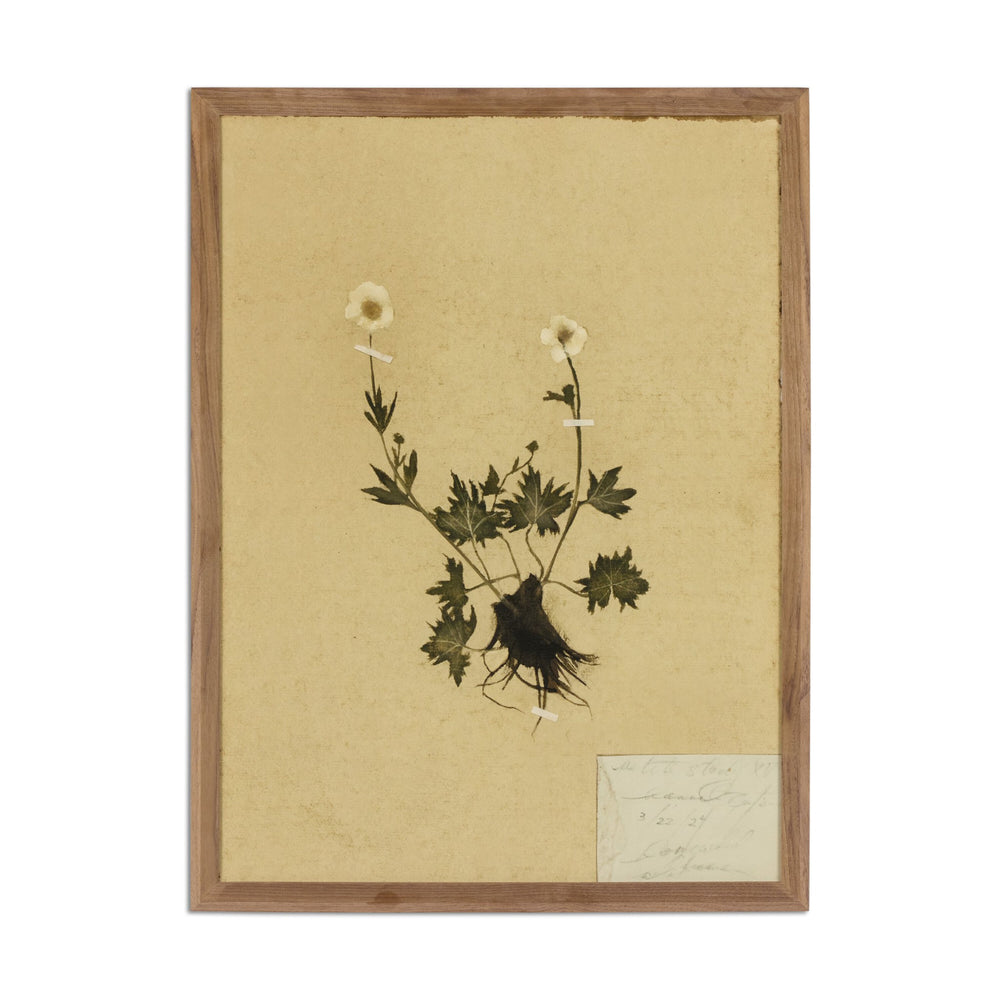 Amber Lewis x Four Hands Petite Study Triptych by Hannah Winters Wall Art Set