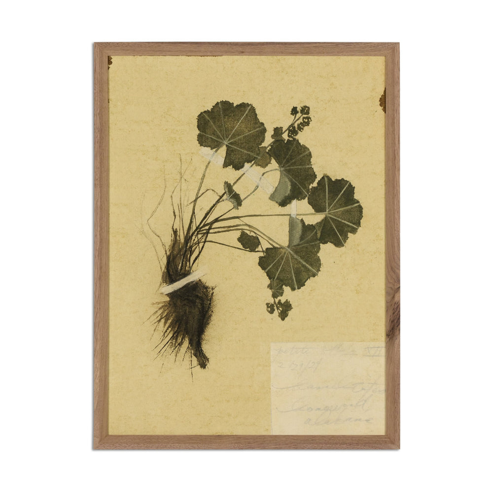 Amber Lewis x Four Hands Petite Study Triptych by Hannah Winters Wall Art Set