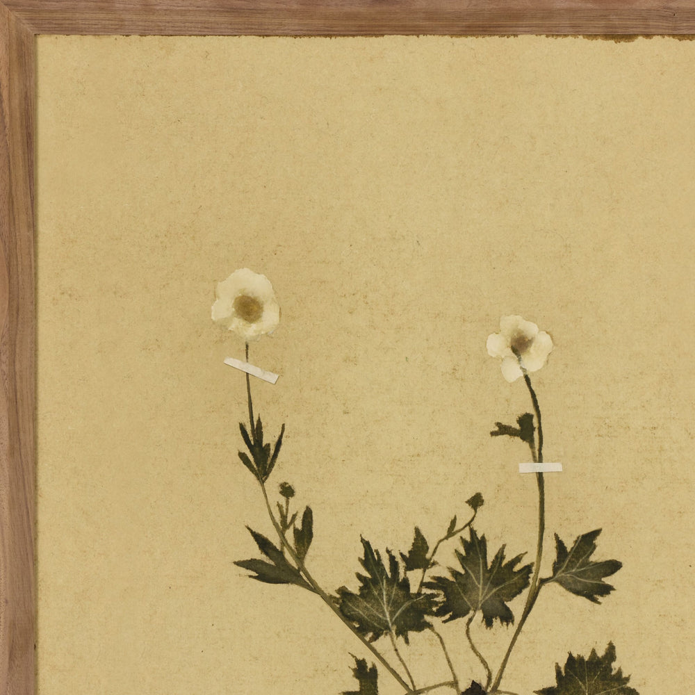 Amber Lewis x Four Hands Petite Study Triptych by Hannah Winters Wall Art Set