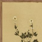 Amber Lewis x Four Hands Petite Study Triptych by Hannah Winters Wall Art Set