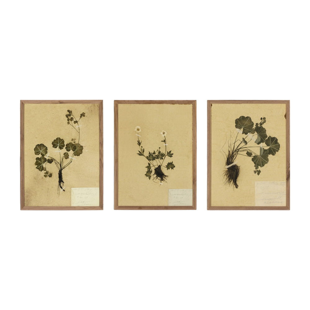 Amber Lewis x Four Hands Petite Study Triptych by Hannah Winters Wall Art Set