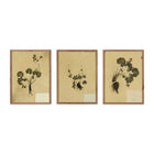 Amber Lewis x Four Hands Petite Study Triptych by Hannah Winters Wall Art Set
