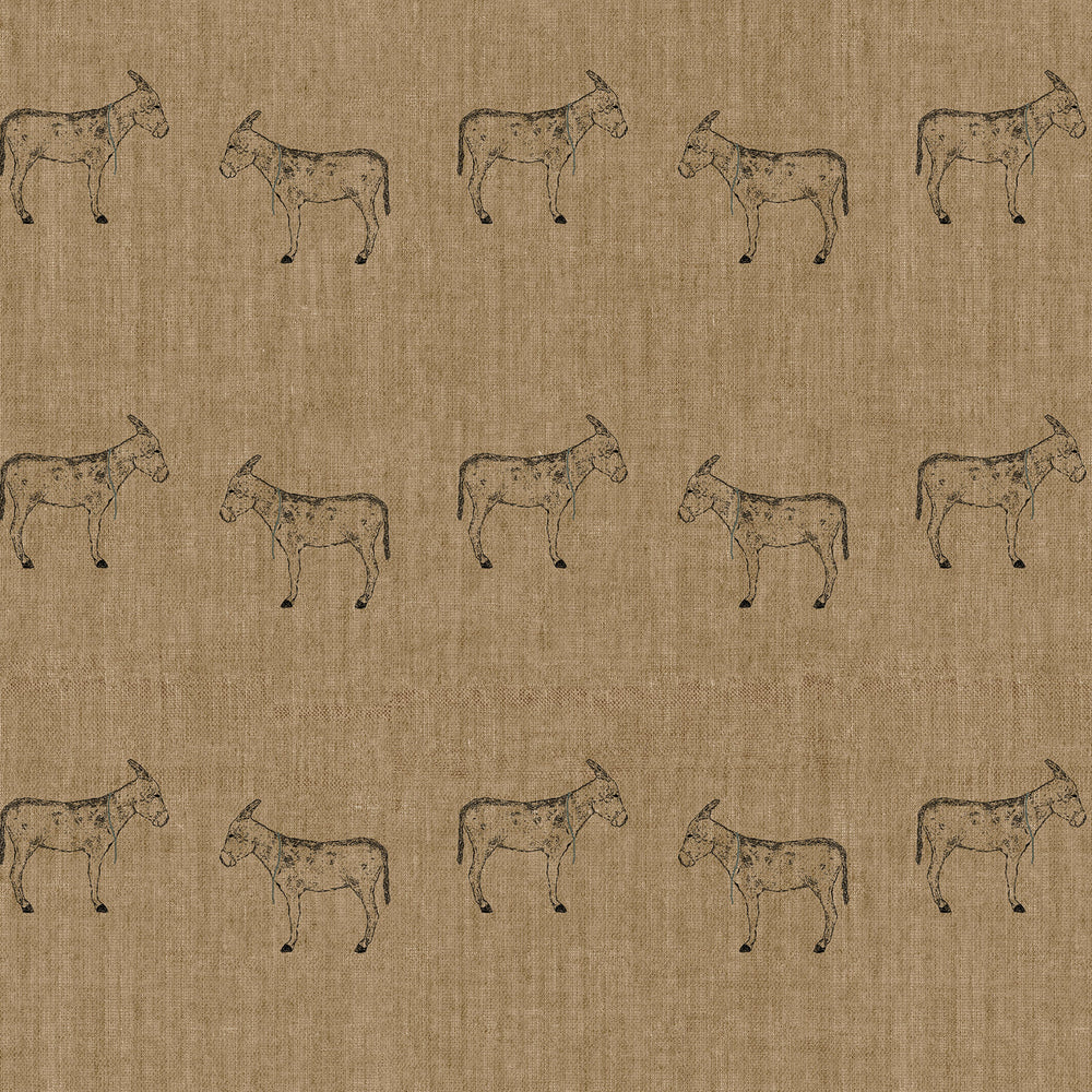Burros by Paul Meyer Wallpaper