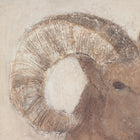 Crius by Paul Meyer Wall Art