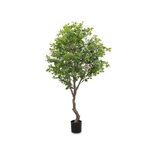 Faux Aralia Tree