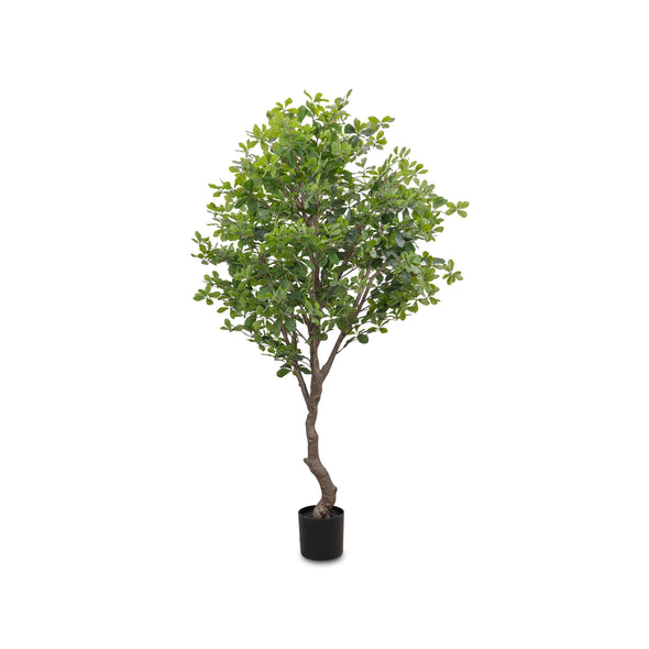 Faux Aralia Tree