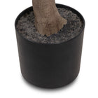 Faux Aralia Tree