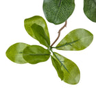 Faux Aralia Tree