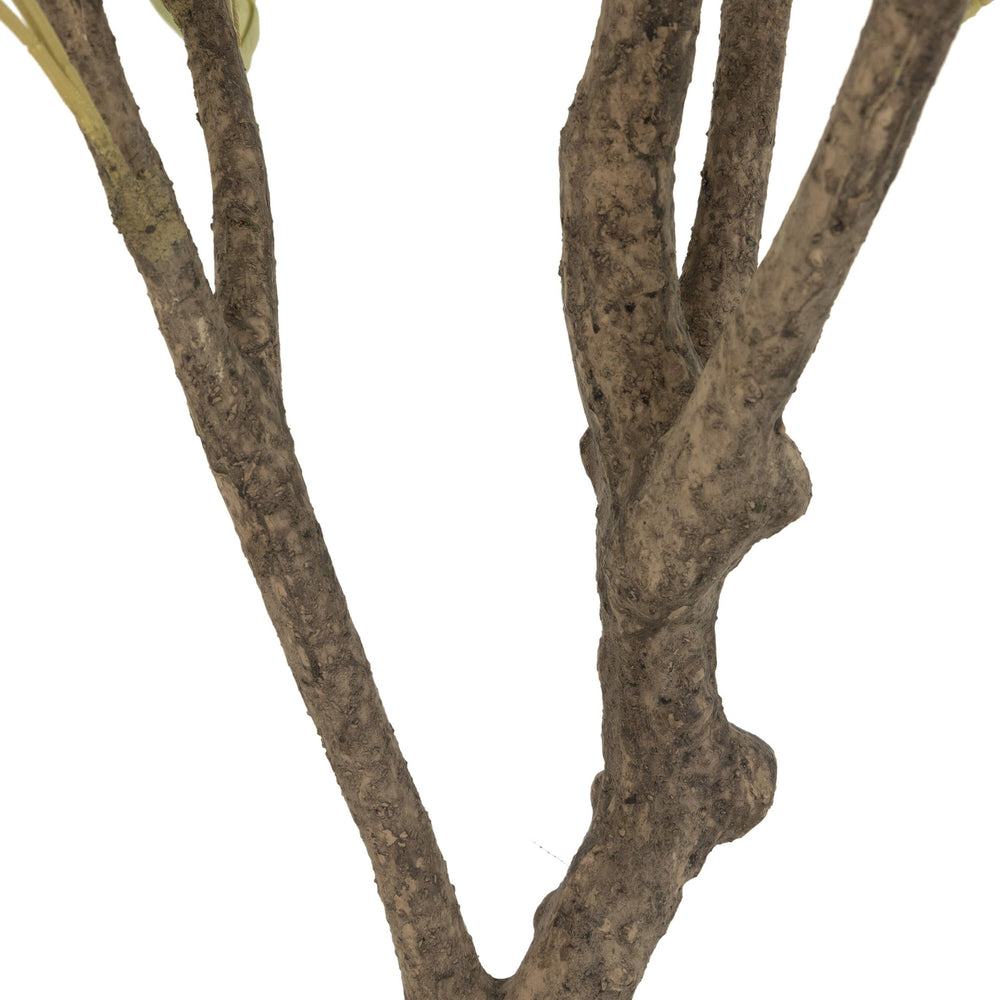 Faux Olive Tree