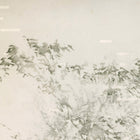 Paisaje Flotante XVIII by Adrián White Wall Art