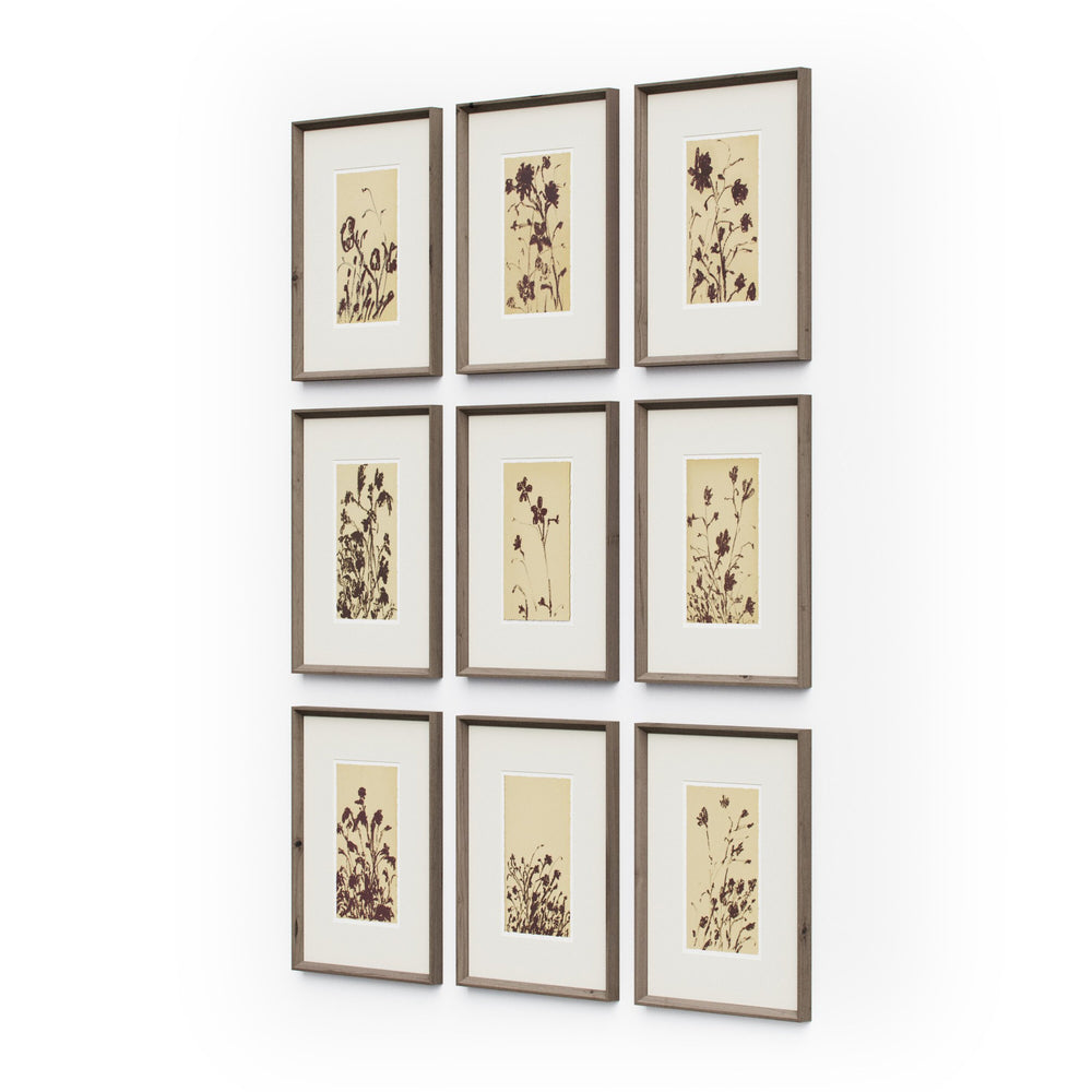 Wild Blooms Wall Art Set