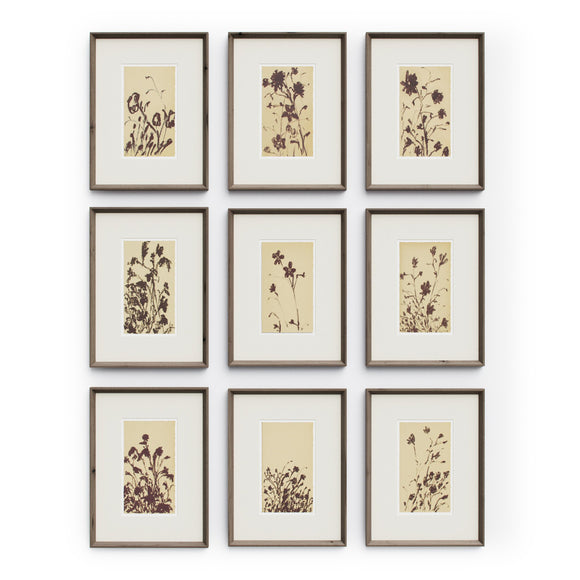 Wild Blooms Wall Art Set
