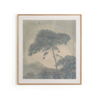 Amber Lewis x Four Hands Canopy by Chelsea Fly Wall Art