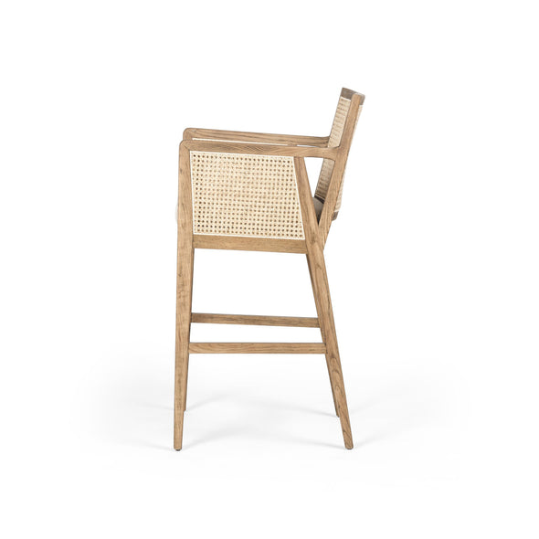 Antonia Upholstered Bar and Counter Stool