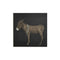 Burro By Paul Meyer Wall Art  option Night