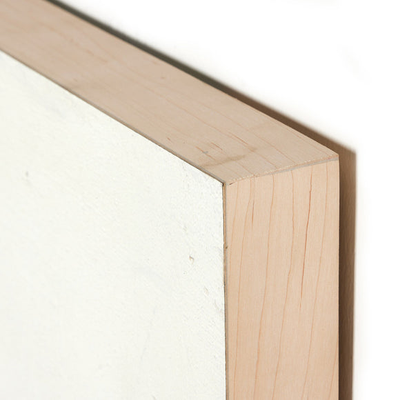 Burro By Paul Meyer Wall Art