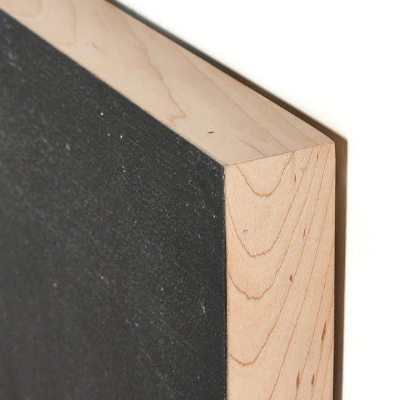 Burro By Paul Meyer Wall Art