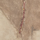 Burro Marron by Paul Meyer Wall Art