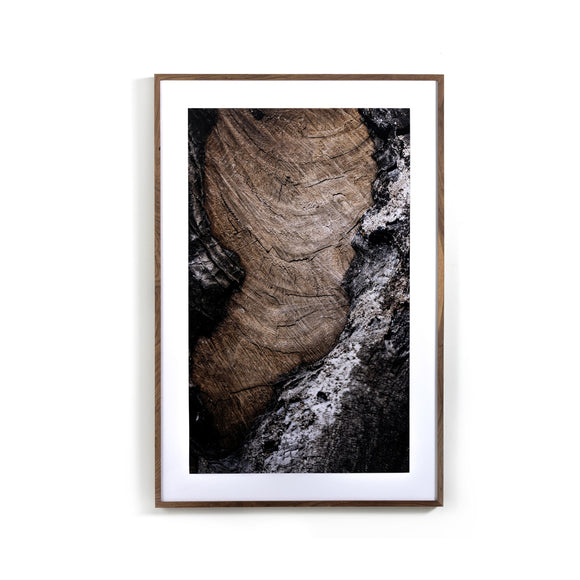 Char VI by FH Art Studio Wall Art