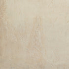 Coastal Desert by Paul Meyer Wall Art