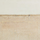 Coastal Desert by Paul Meyer Wall Art