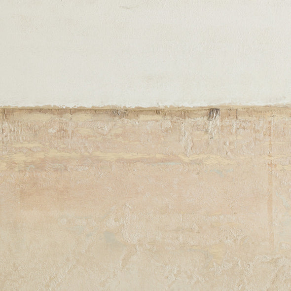 Coastal Desert by Paul Meyer Wall Art