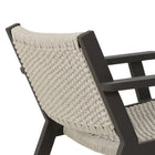 Delano Metal Lounge Chair