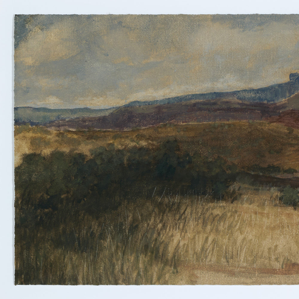 Desert Hues I by Aileen Fitzgerald Wall Art