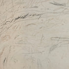 Examination of The Rose by Tyler Guinn Wall Art