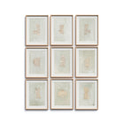 Galactic by Jade Dacay Wall Art (Set of 9)