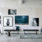 Horse Wall Art