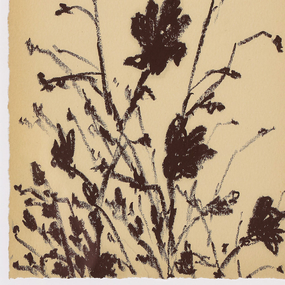 Meadow Rue by Shaina Page Wall Art Set