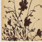 Meadow Rue by Shaina Page Wall Art Set