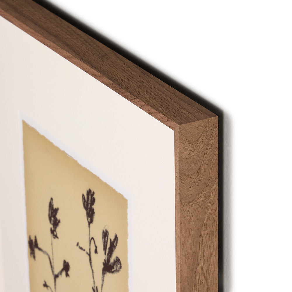 Meadow Rue by Shaina Page Wall Art Set