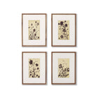 Meadow Rue by Shaina Page Wall Art Set