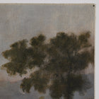 Morning Glory by Aileen Fitzgerald Wall Art