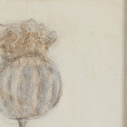 Poppy Triptych by Paul Meyer Wall Art (Set of 3)