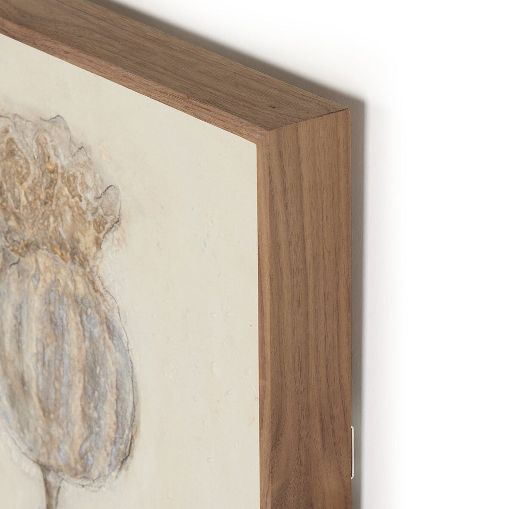 Poppy Triptych by Paul Meyer Wall Art (Set of 3)