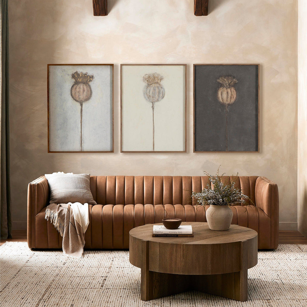 Poppy Triptych by Paul Meyer Wall Art (Set of 3)