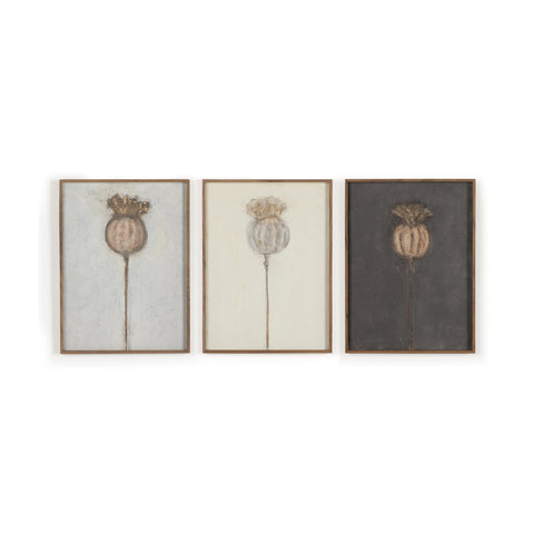 Poppy Triptych by Paul Meyer Wall Art (Set of 3)