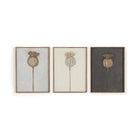 Poppy Triptych by Paul Meyer Wall Art (Set of 3)