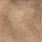 Roam by Aileen Fitzgerald Wall Art