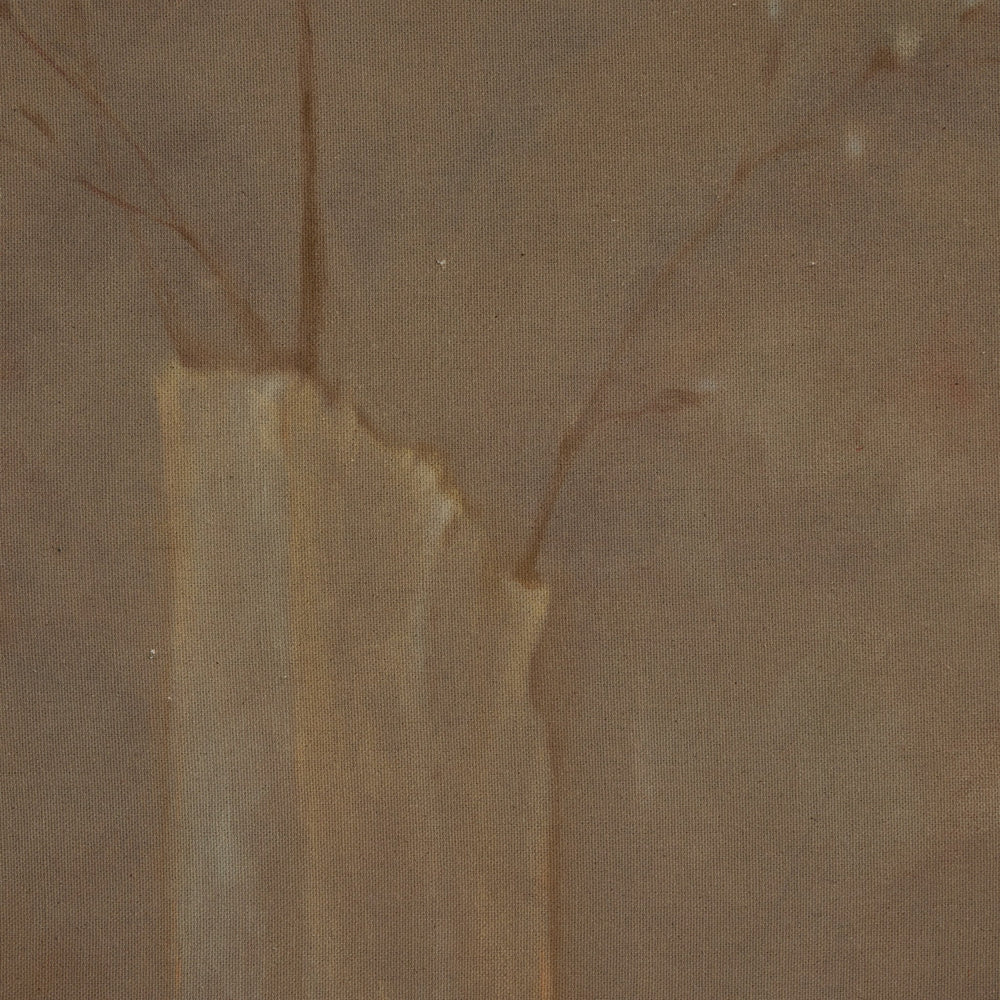 Sakura by Jess Engle Wall Art