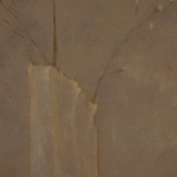 Sakura by Jess Engle Wall Art
