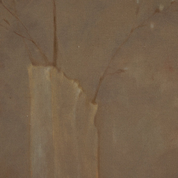 Sakura by Jess Engle Wall Art