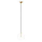 Schwung Glass Globe Pendant Light