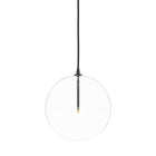 Schwung Glass Globe Pendant Light