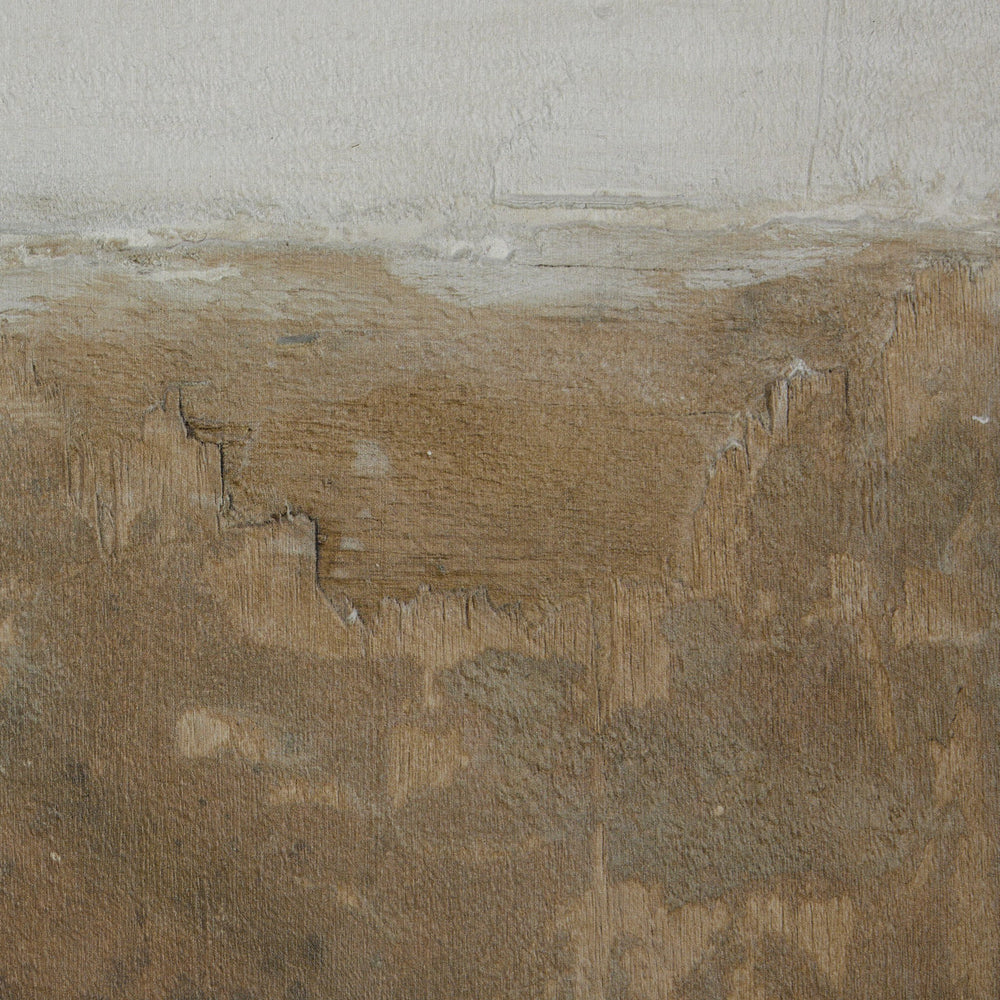 Sonora by Paul Meyer Wall Art